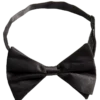 Black Bow Tie Accessory