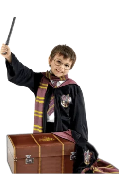 Childrens Deluxe Harry Potter Costume And Trunk