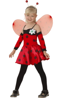 Kids Ladybird Costume