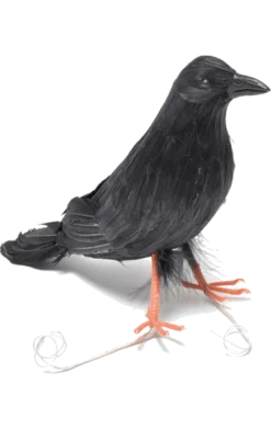 Black Crow Prop Accessory