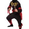 Adult Dragon Ninja Costume