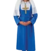 Adult Blue Nun Costume