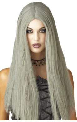 Palmer Long Grey Wig