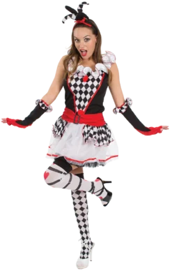Ladies Harlequin Jester Costume