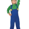 Kids Luigi Super Mario Costume