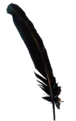 GENERIC Black Turkey Feather