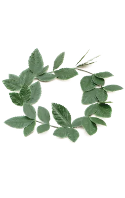 Green Roman Wreath Accessory