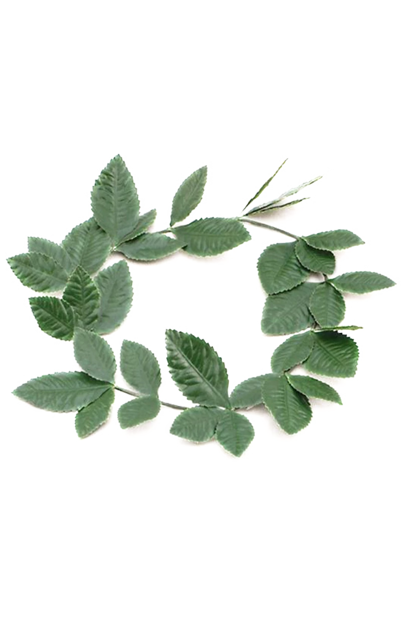 Green Roman Wreath Accessory 1 Green Roman Wreath Accessory