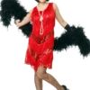 Dreamgirl Jazzy Flapper Dress Costume