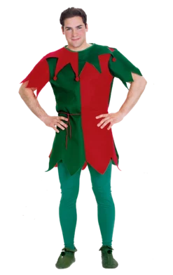 Mens Economy Elf Tunic Costume