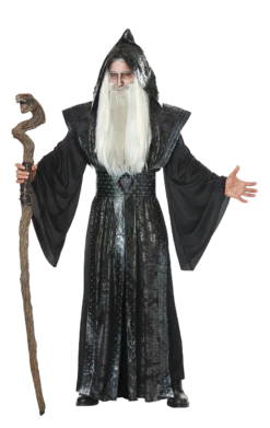 Mens Mystic Wizard Costume